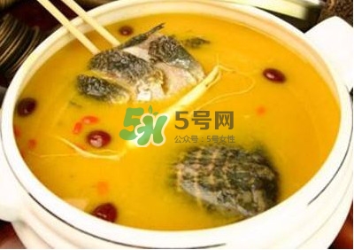 甲魚湯怎么做？甲魚湯的做法