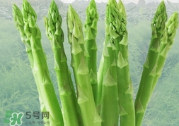 蘆筍過敏怎么辦？蘆筍過敏怎么處理？