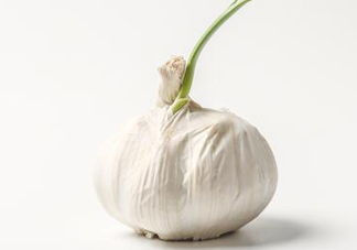 新蒜頭怎么保存不發芽？新蒜頭怎么存放