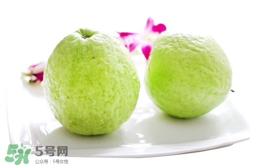 番石榴什么時候吃最好？番石榴什么季節(jié)吃最好