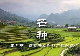 芒種種什么？芒種種什么疏菜？