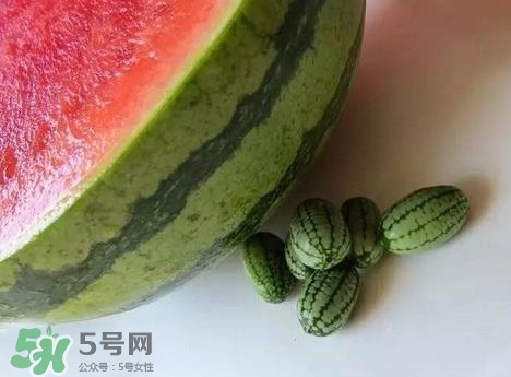 迷你西瓜是轉基因水果嗎？迷你西瓜是不是轉基因？