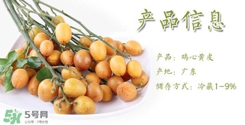 黃皮果什么時候成熟？黃皮果什么時候上市