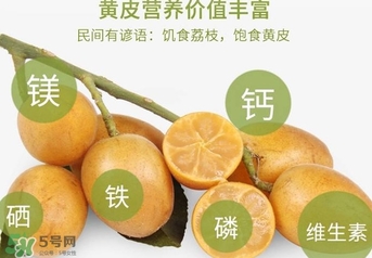 如何種植黃皮果？黃皮果怎么種植？