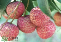 荔枝吃多了會怎么樣？荔枝上火怎么辦？