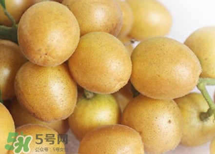 雞心黃皮幾年才掛果？雞心黃皮如何種植管理