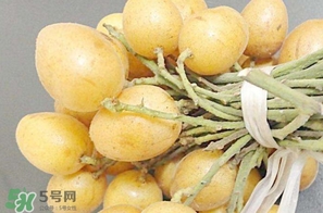 黃皮果多少錢一斤2017？黃皮果價格