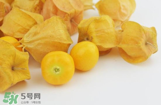 姑娘果什么時候成熟？姑娘果什么時候上市