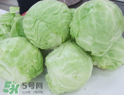 圓白菜怎么做好吃？圓白菜有什么功效