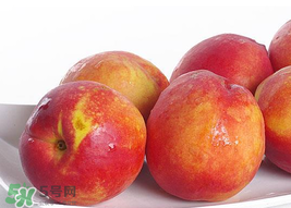 吃油桃會拉肚子嗎？拉肚子可以吃油桃嗎？