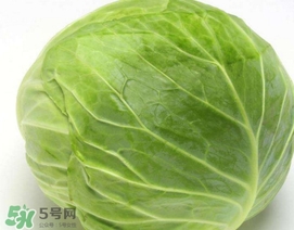 圓白菜是什么菜？圓白菜能生吃嗎？