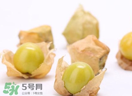 姑娘果什么時候成熟？姑娘果什么時候上市