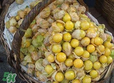 花姑娘水果怎么吃？花姑娘水果吃之前要洗嗎？