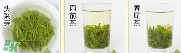 信陽毛尖什么牌子好？信陽毛尖哪個品牌好