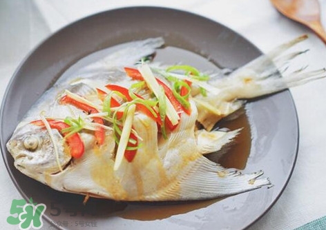 鱸魚刺多嗎？鱸魚適合做給寶寶吃嗎？