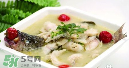 海鱸魚多少錢一斤2017？淡水鱸魚多少錢一斤？