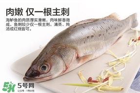 鱸魚是海鮮嗎？鱸魚是不是海鮮？