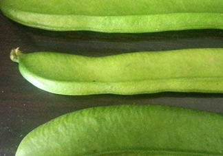刀豆是四季豆嗎？刀豆和四季豆的區別