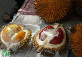 紅心榴蓮多少錢一斤？紅心榴蓮為什么這么貴？