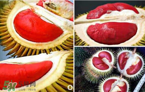 紅心榴蓮叫什么？紅心榴蓮是哪個(gè)國(guó)家產(chǎn)的？
