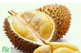 紅心榴蓮是轉基因的嗎？紅心榴蓮是不是轉基因？