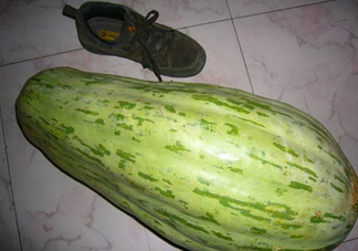 菜瓜怎么炒好吃？菜瓜怎么做好吃