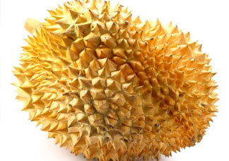 紅心榴蓮是轉基因的嗎？紅心榴蓮是不是轉基因？