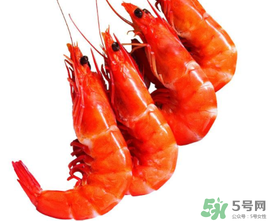 楊梅和蝦能一起吃嗎？蝦和楊梅能一起吃嗎？