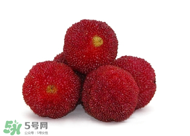 吃完楊梅不能吃什么？吃完楊梅可以吃別的水果嗎？