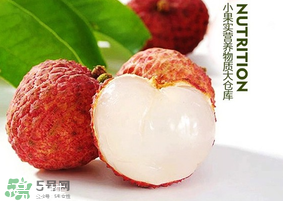 妃子笑荔枝多少錢一斤？2017妃子笑荔枝價格