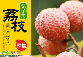 妃子笑荔枝多少錢一斤？2017妃子笑荔枝價格