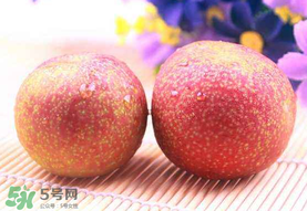 紅心李子孕婦可以吃嗎？紅心李子營養價值