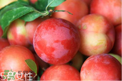 ?楊梅和李子能一起吃嗎？楊梅和李子一起吃會中毒嗎？
