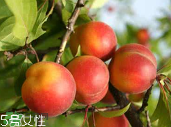 ?楊梅和李子能一起吃嗎？楊梅和李子一起吃會中毒嗎？