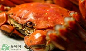 為什么說六月黃有公蟹沒有母蟹？怎樣區分螃蟹的公母