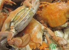 花蓋蟹死了能吃嗎？花蓋蟹死多久之內(nèi)能吃？