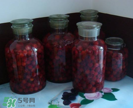泡楊梅酒用什么瓶子？楊梅酒可以用塑料瓶泡嗎？