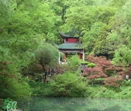 7月份去長沙穿什么？七月份去長沙穿什么衣服