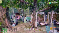諜紙天眼和往生營有什么關系？