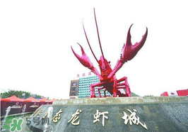 2017潛江龍蝦節門票多少錢？2017潛江龍蝦節門票