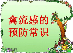 6月有禽流感嗎？2017年6月有禽流感嗎？