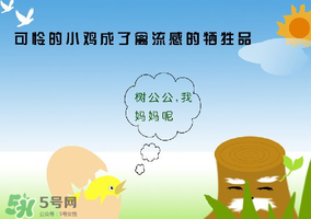 6月有禽流感嗎？2017年6月有禽流感嗎？