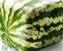 方形西瓜是如何種出來的？方形西瓜是怎么長成的