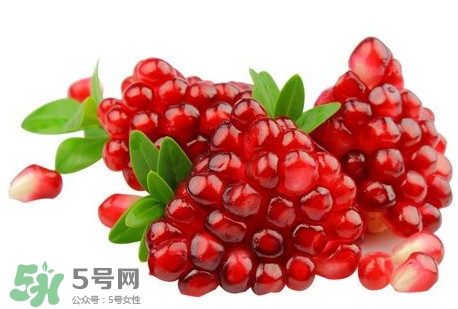 石榴是什么季節的水果？石榴是哪里的特產