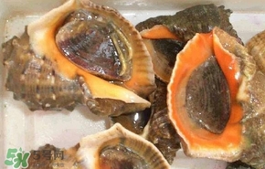 海螺是發物嗎？海螺是不是發物
