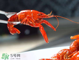 潛江小龍蝦有什么特色？潛江龍蝦節是每年什么時候？ 