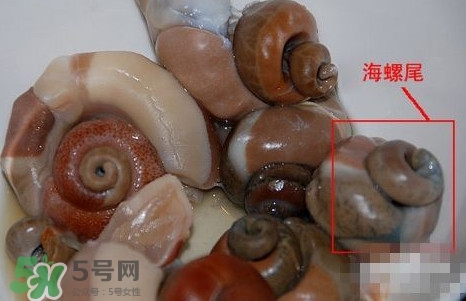 海螺是發物嗎？海螺是不是發物