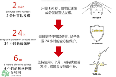 Alpecin咖啡因洗發水效果如何？Alpecin咖啡因洗發水防脫嗎？