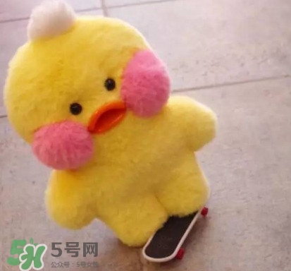 玻尿酸鴨哪里可以買到？一個玻尿酸鴨多少錢？
