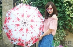 Kobold是假洋品牌么？Kobold是什么牌子是德國的嗎？